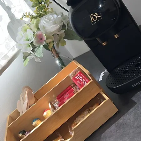 Nid Chic Et Cosy Au Coeur De Avec Jardin Appartement Nancy