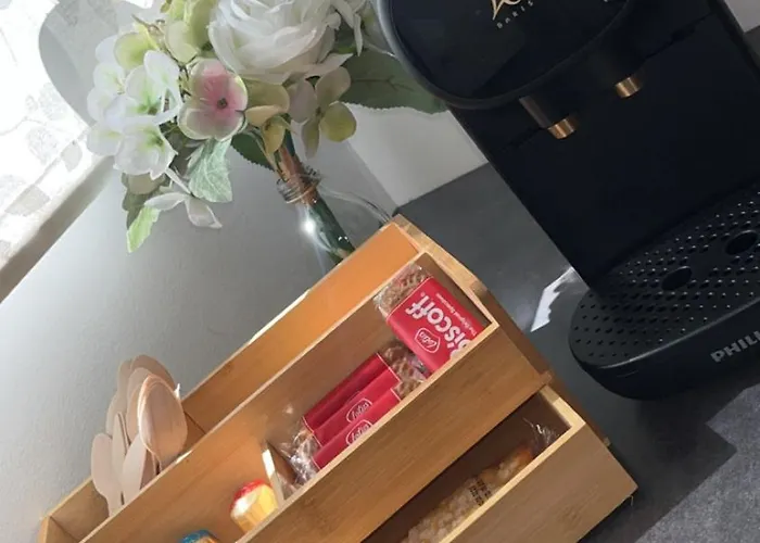 Nid Chic Et Cosy Au Coeur De Avec Jardin Appartement Nancy