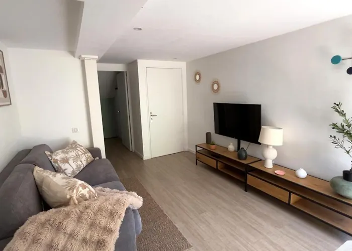 Nid Chic Et Cosy Au Coeur De Avec Jardin Appartement Nancy